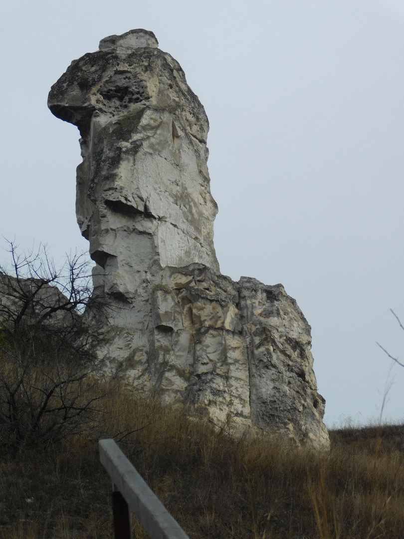 Долина дона. Дивногорье музей-заповедник. Дивногорье Дон. Дивногорье Воронежская область экскурсии. Дивохаус Дивногорье.